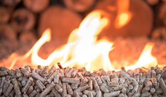 Guide des types de poêles à granulés : comment choisir le bon modèle